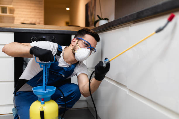 Best Wasp Removal Services  in South Pekin, IL
