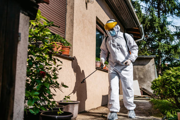 Best Cockroach Control Services  in South Pekin, IL