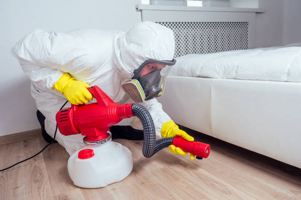 Best Mosquito Control Services  in South Pekin, IL
