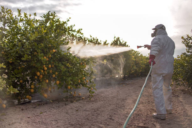 Best Best Pest Control Companies  in South Pekin, IL