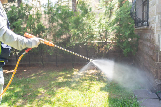 Best Residential Pest Control  in South Pekin, IL
